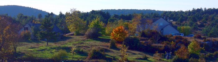 accueil viale